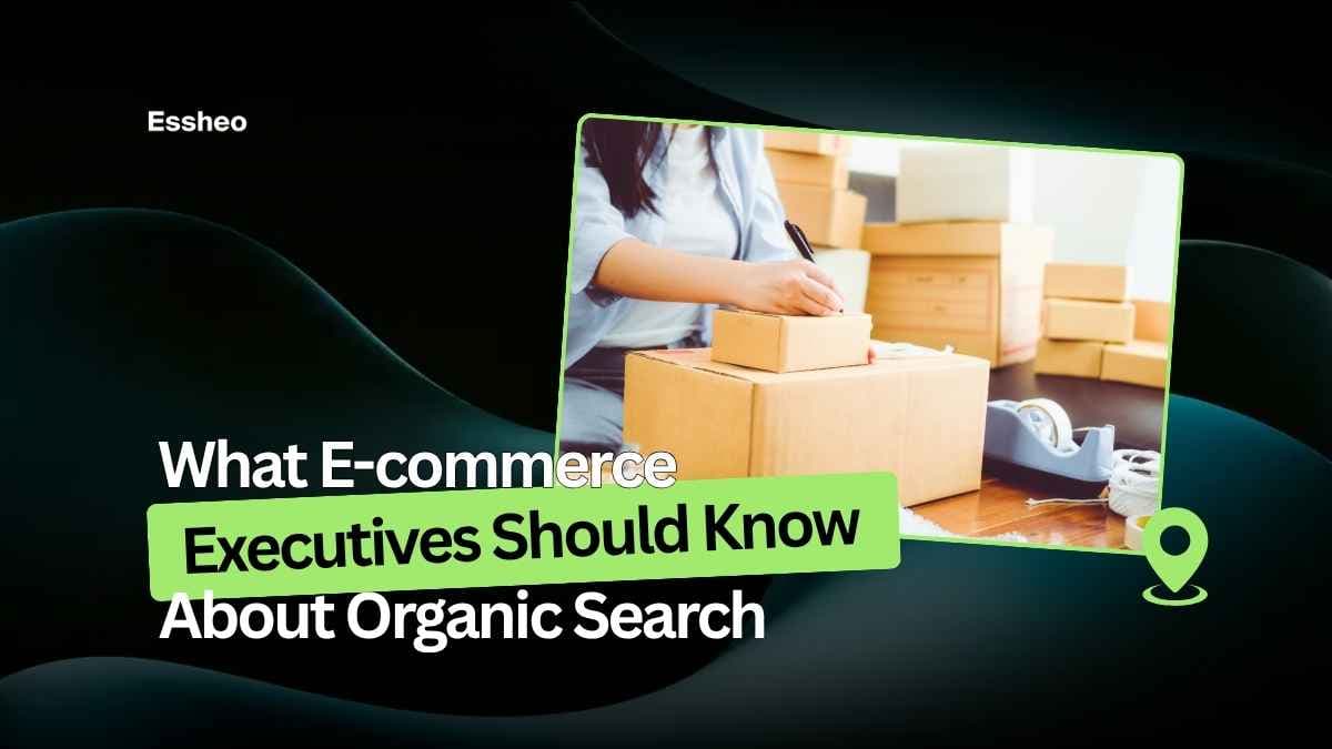 What E-commerce Executives Should Know About Organic Search